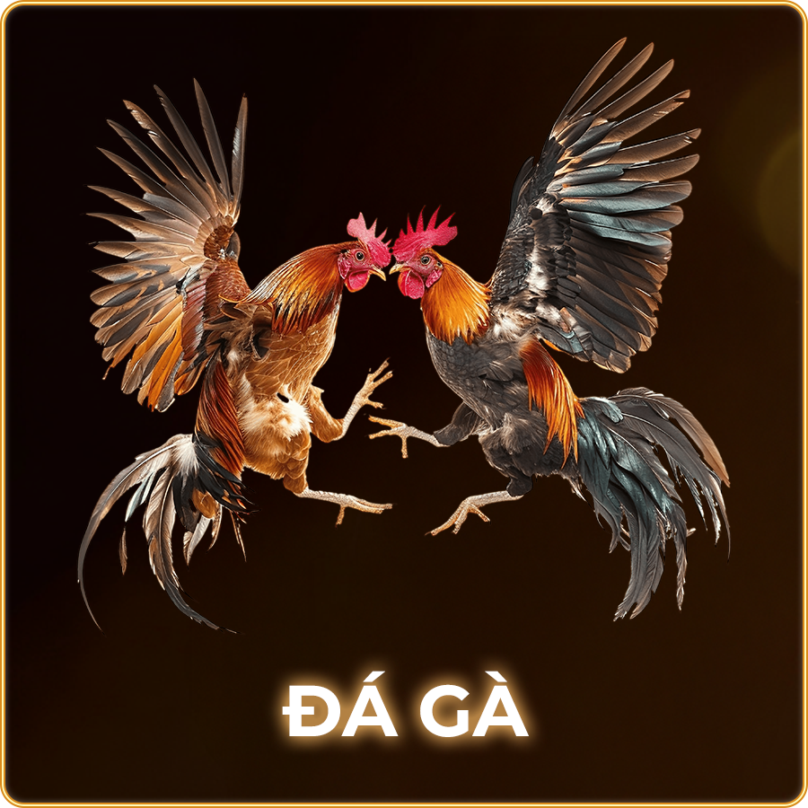 banner1 900x900 1